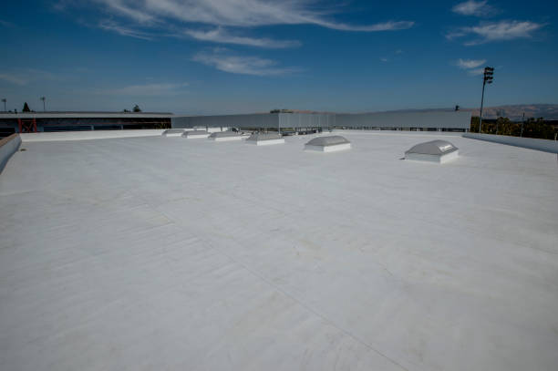 Best Cold Roofs  in Cadiz, OH
