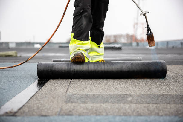 Best Solar Panel Roofing Installation  in Cadiz, OH